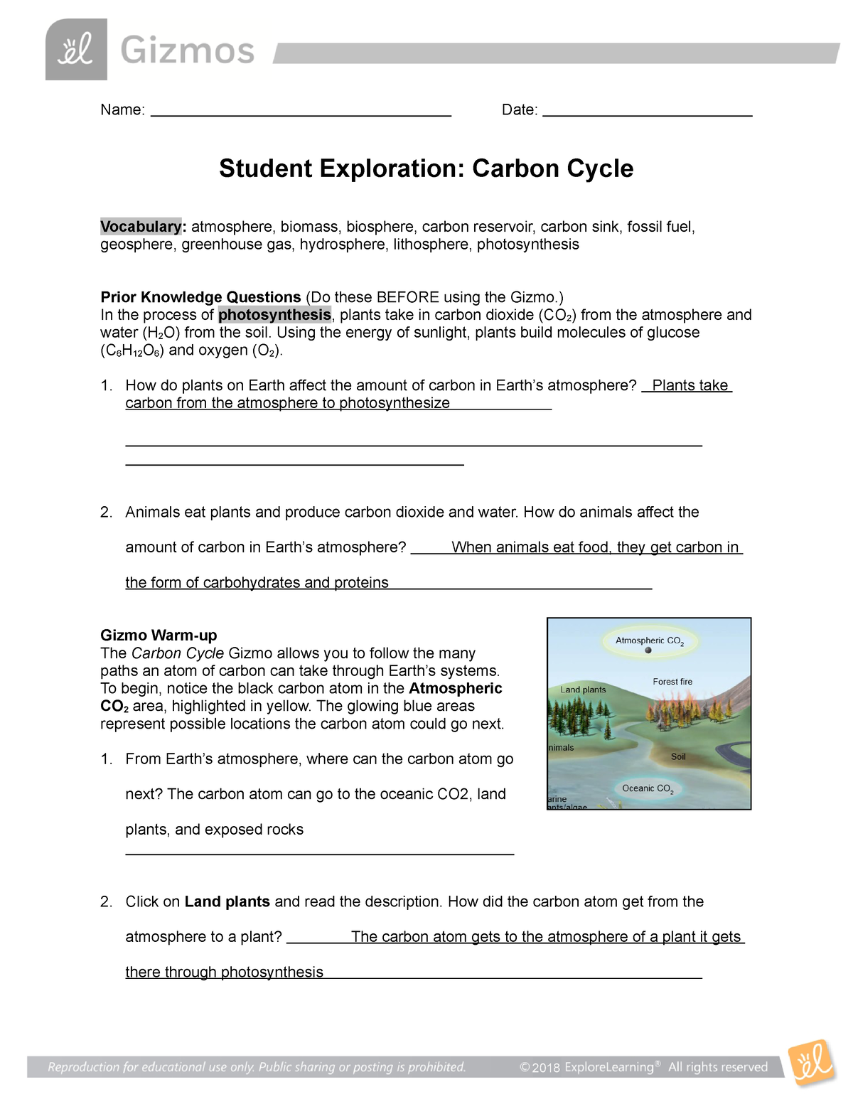 Carbon cycle worksheet - Name: Date: Student Exploration: Carbon
