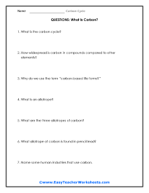 Carbon Cycle Worksheets