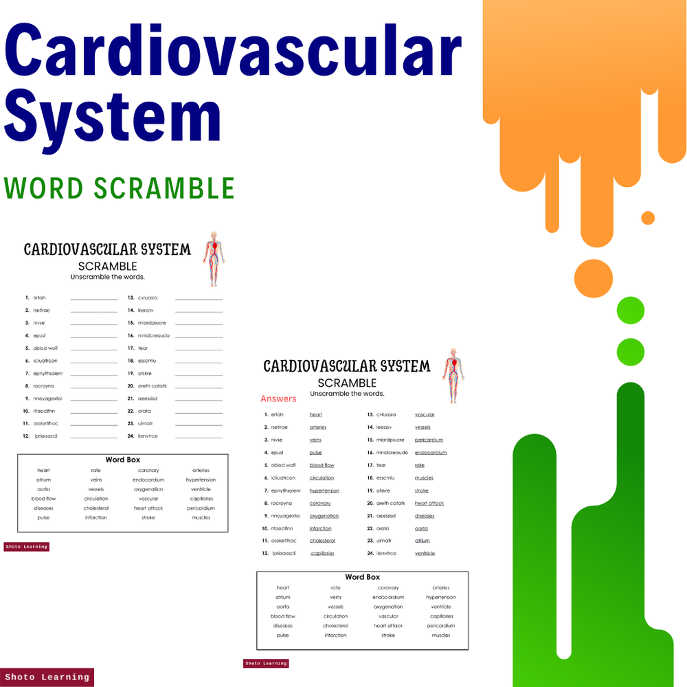 Cardiovascular System Word Scramble: A Fun and Educational Way to Learn —  Shoto Learning | English | Math | Science Worksheets
