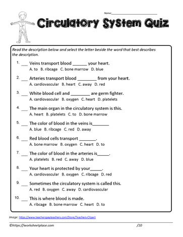 Circulatory System Quiz Worksheets
