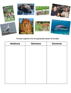 carnivore herbivore omnivore worksheet