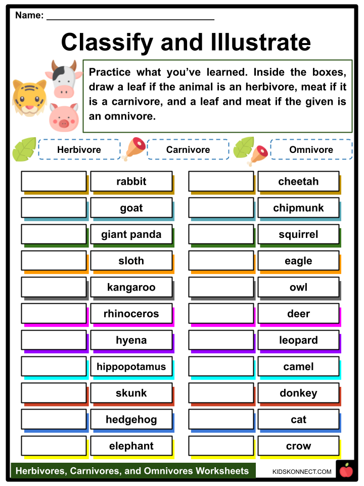 carnivore herbivore omnivore worksheet