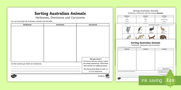 carnivore herbivore omnivore worksheet