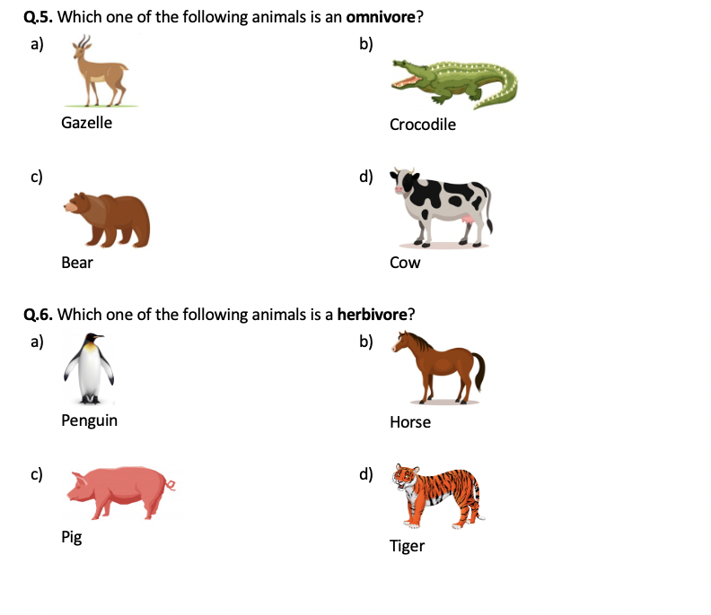 carnivores herbivores and omnivores worksheet