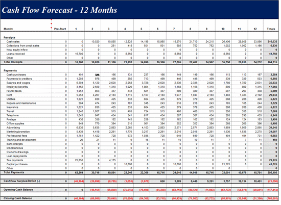 12 Month Cash Flow Forecast Template | Free Microsoft Excel ...