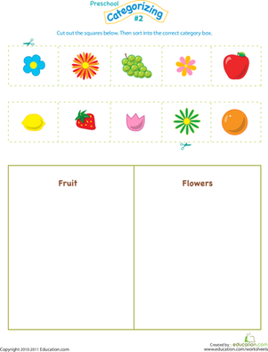 Cut and Categorize #2 | Worksheet 