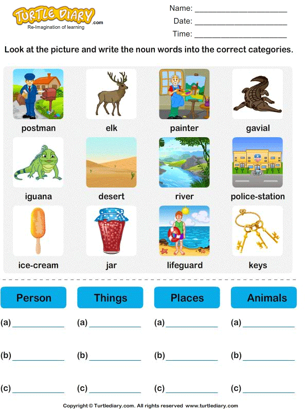 Identify Nouns for each Category | Turtle Diary Worksheet