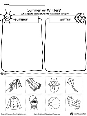 FREE* Sorting Summer and Winter Seasonal Items | MyTeachingStation.com