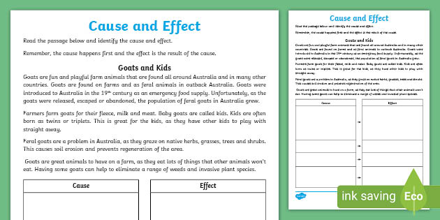 cause and effect worksheet 6th grade