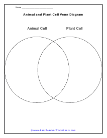 Cell Worksheets