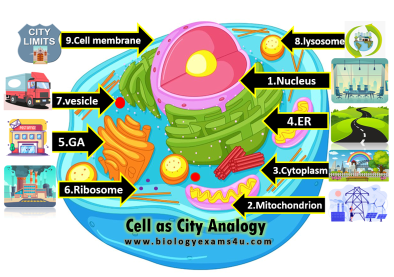 Pin page