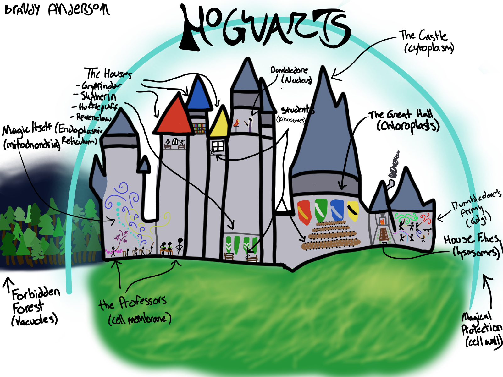 Target-Cell Analogy Project by Camberlyn Johnson on Prezi
