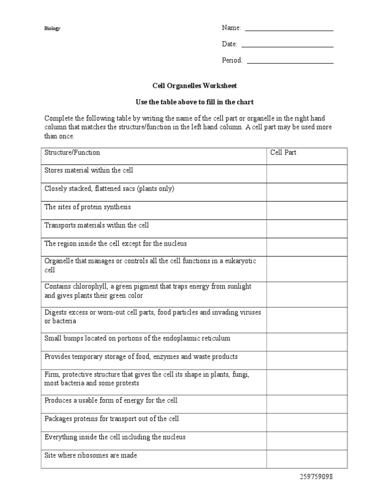 Cell Organelles Worksheet | PDF | Endoplasmic Reticulum | Cell ...
