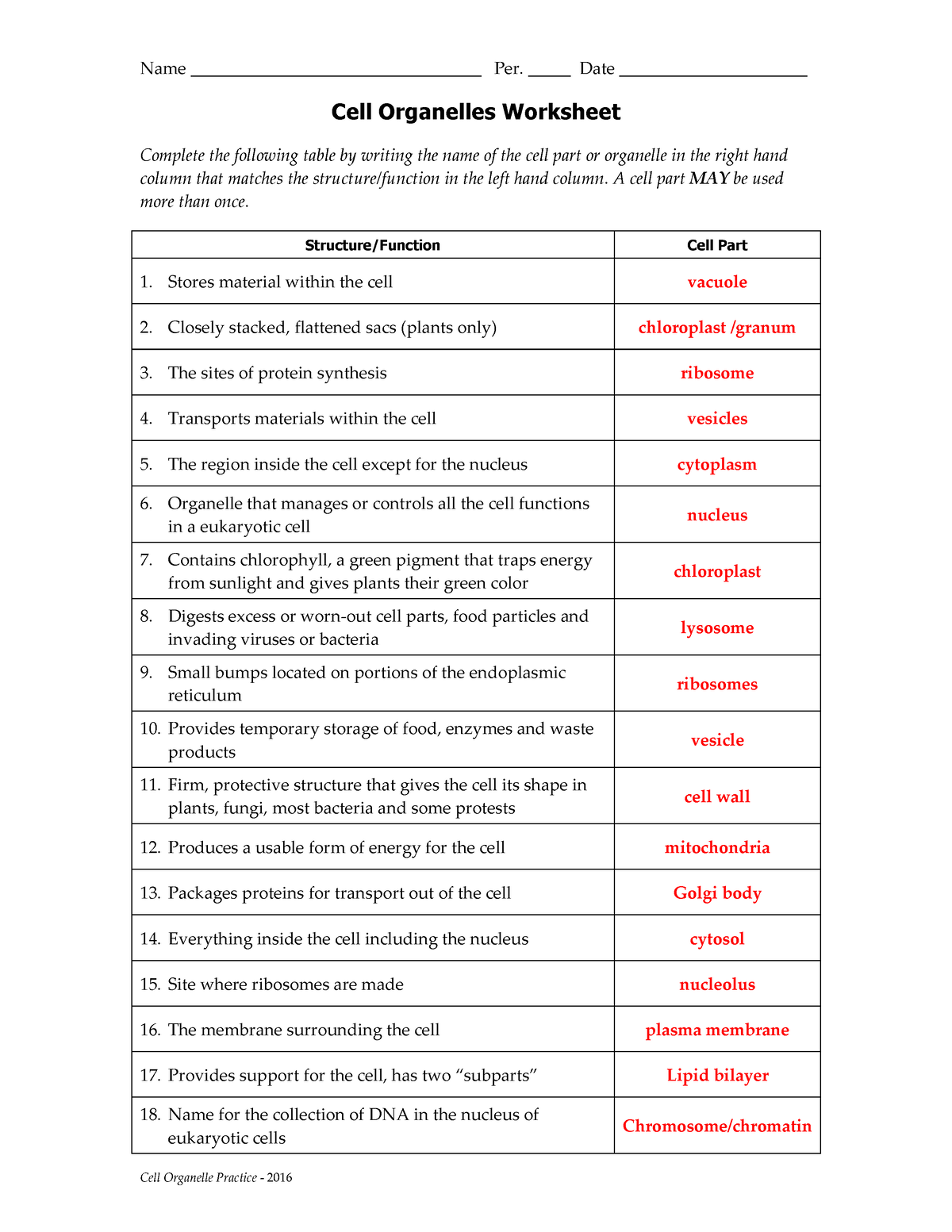 cell and organelles worksheet