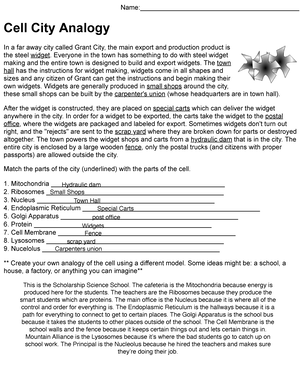 cell city analogy key