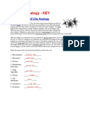 Cell City Analogy Key | PDF