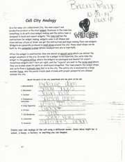 Cell City Analogy Worksheet - Cell CiTy Analogy In a for may ciTy ...