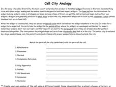 cell city analogy worksheet 1 2