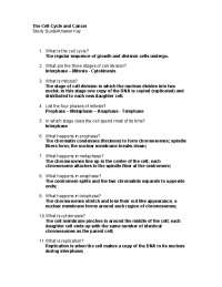 cell cycle and cancer worksheet