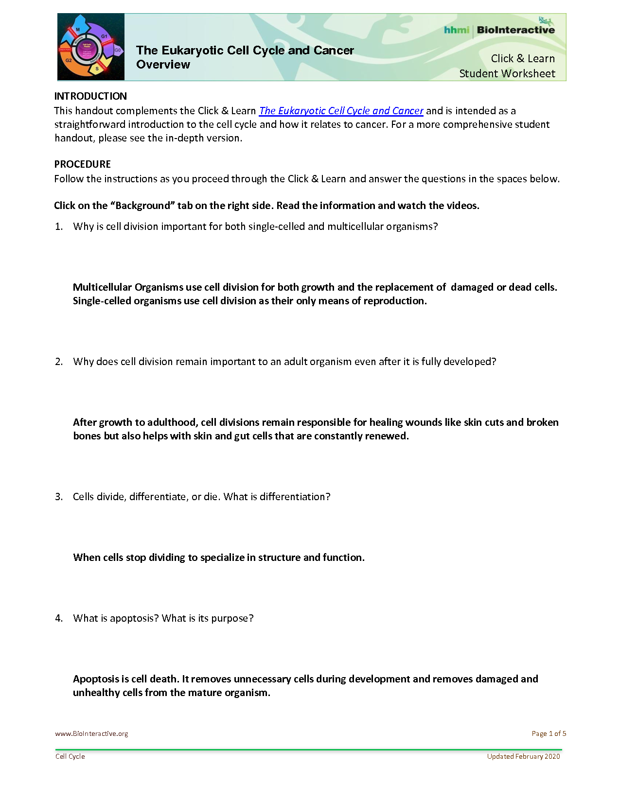 cell cycle and cancer worksheet
