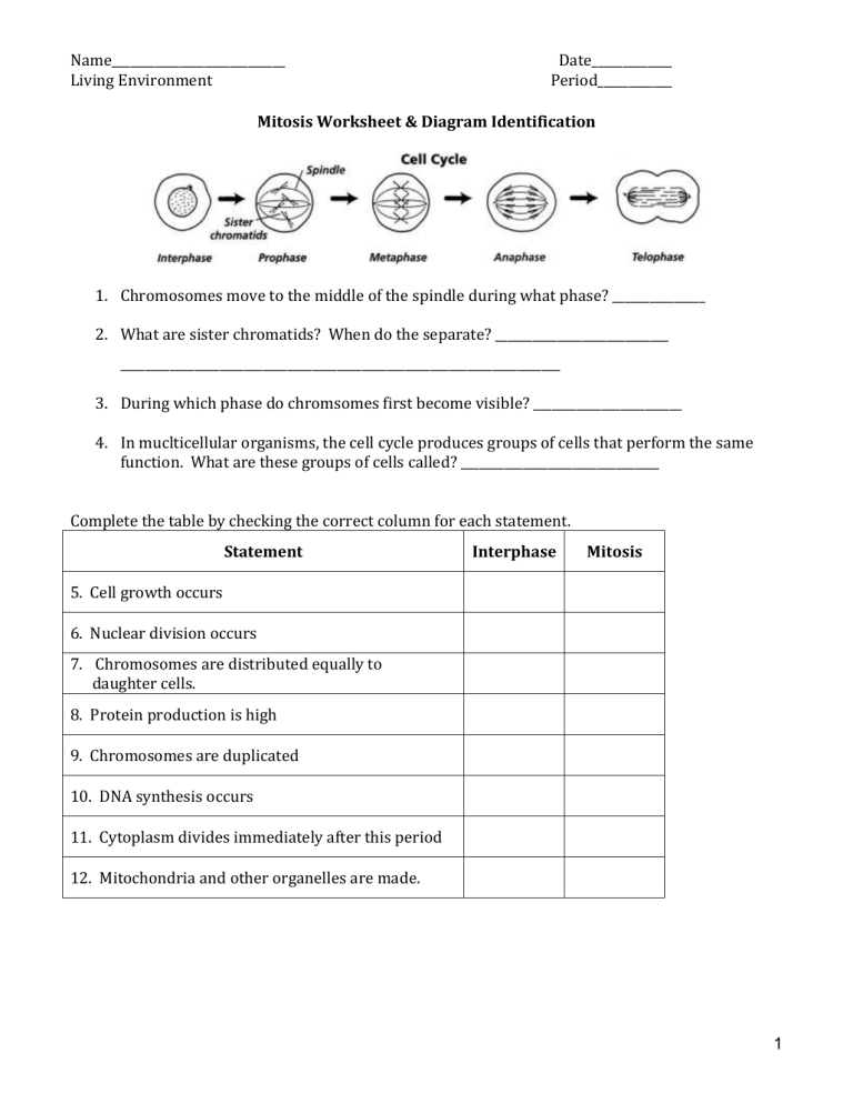 Mitosis And Meiosis | What Is Mitosis | ihrm.or.ke