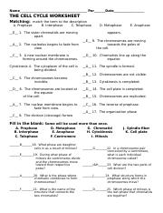 THE CELL CYCLE WORKSHEET ANSWERS - Name Per Date THE CELL CYCLE ...