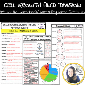 Mitosis Worksheet - Cell Growth and Division by Science Is Booming