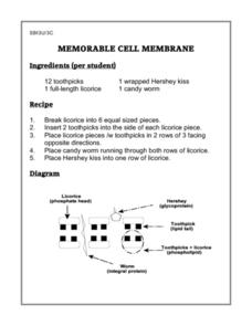 cell membrane coloring worksheet answer key biology junction