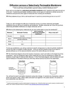 Cell Membrane Permeability Lesson Plans &  Worksheets