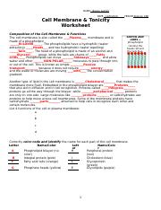 CELL MEMBRANE &  TONICITY WORKSHEET.docx - NAME: Bessie Guillen ...