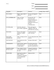 cell organelle research worksheet