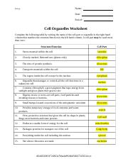cell organelle worksheet answers