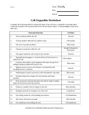 cell organelle worksheet answers