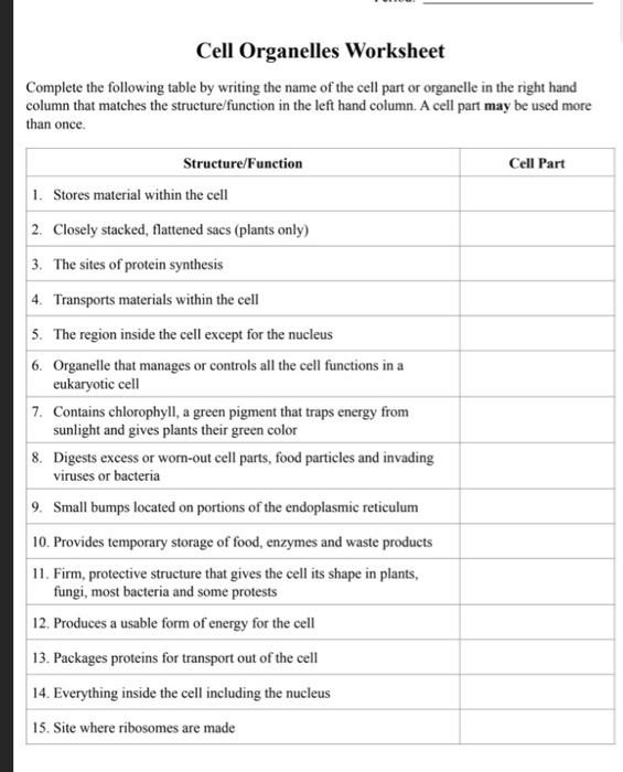 cell organelle worksheet