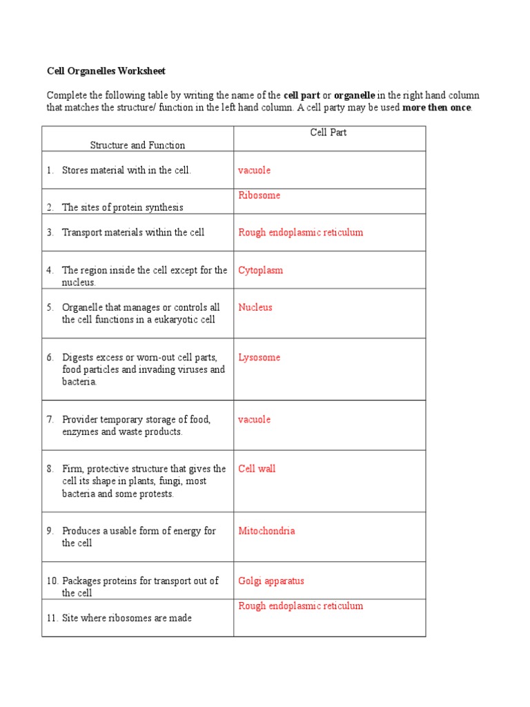 cell organelles and functions worksheet