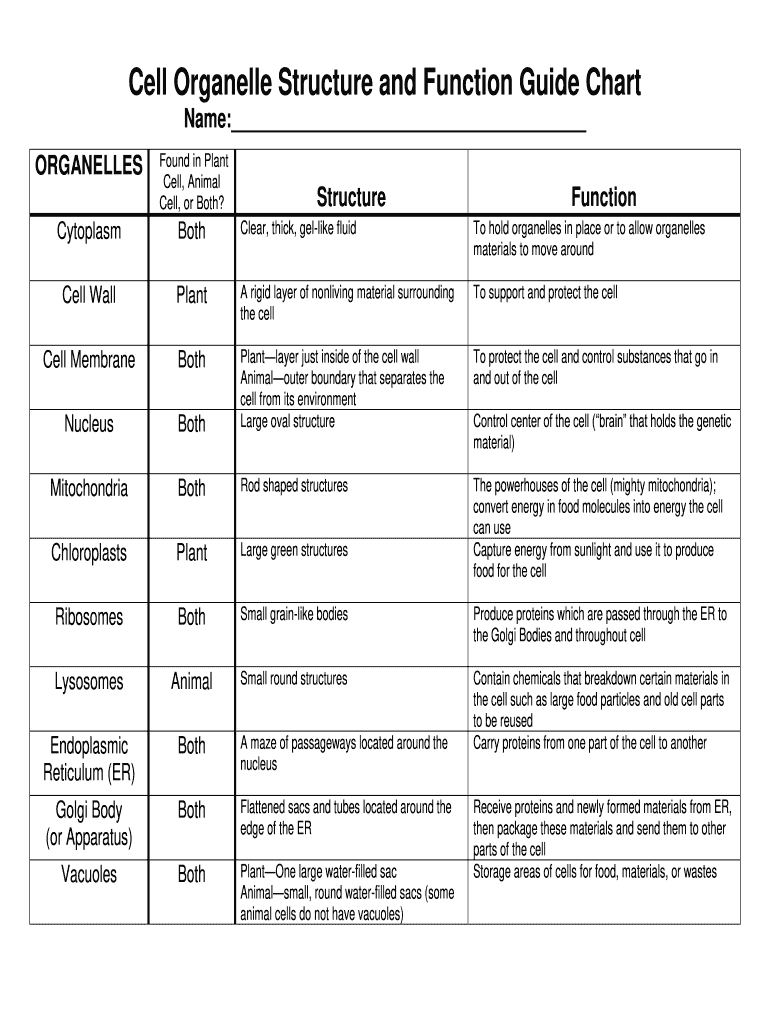 cell organelles and their functions worksheet answers