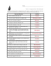 cell organelles worksheet answer key