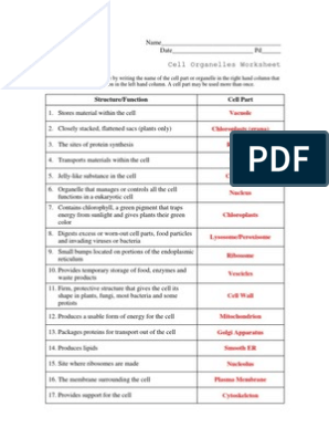 cell organelles worksheet answer key