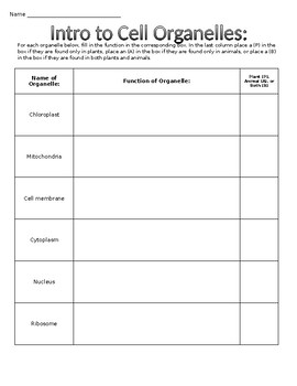 cell organelles worksheet high school
