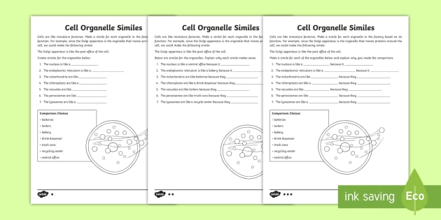 cell organelles worksheet high school