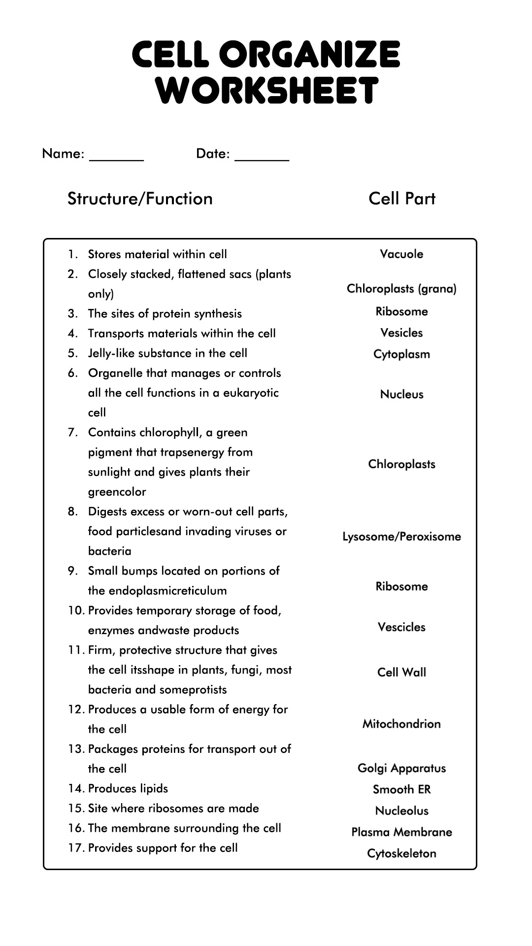 cell organelles worksheet