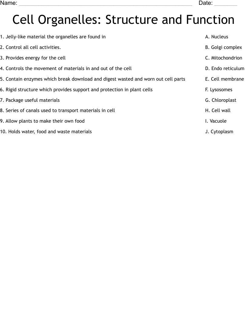 Cell Organelles: Structure and Function Worksheet - WordMint