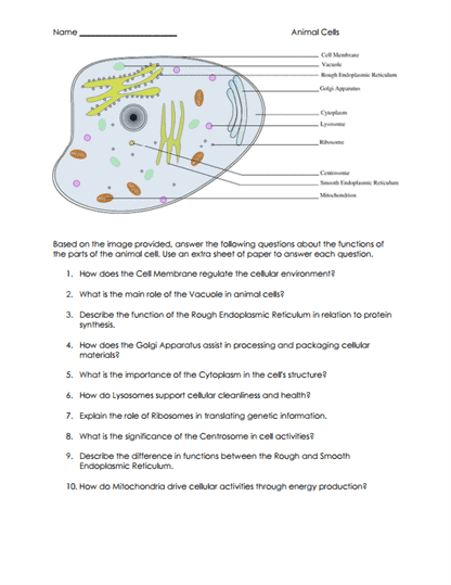 Animal Cells Worksheets