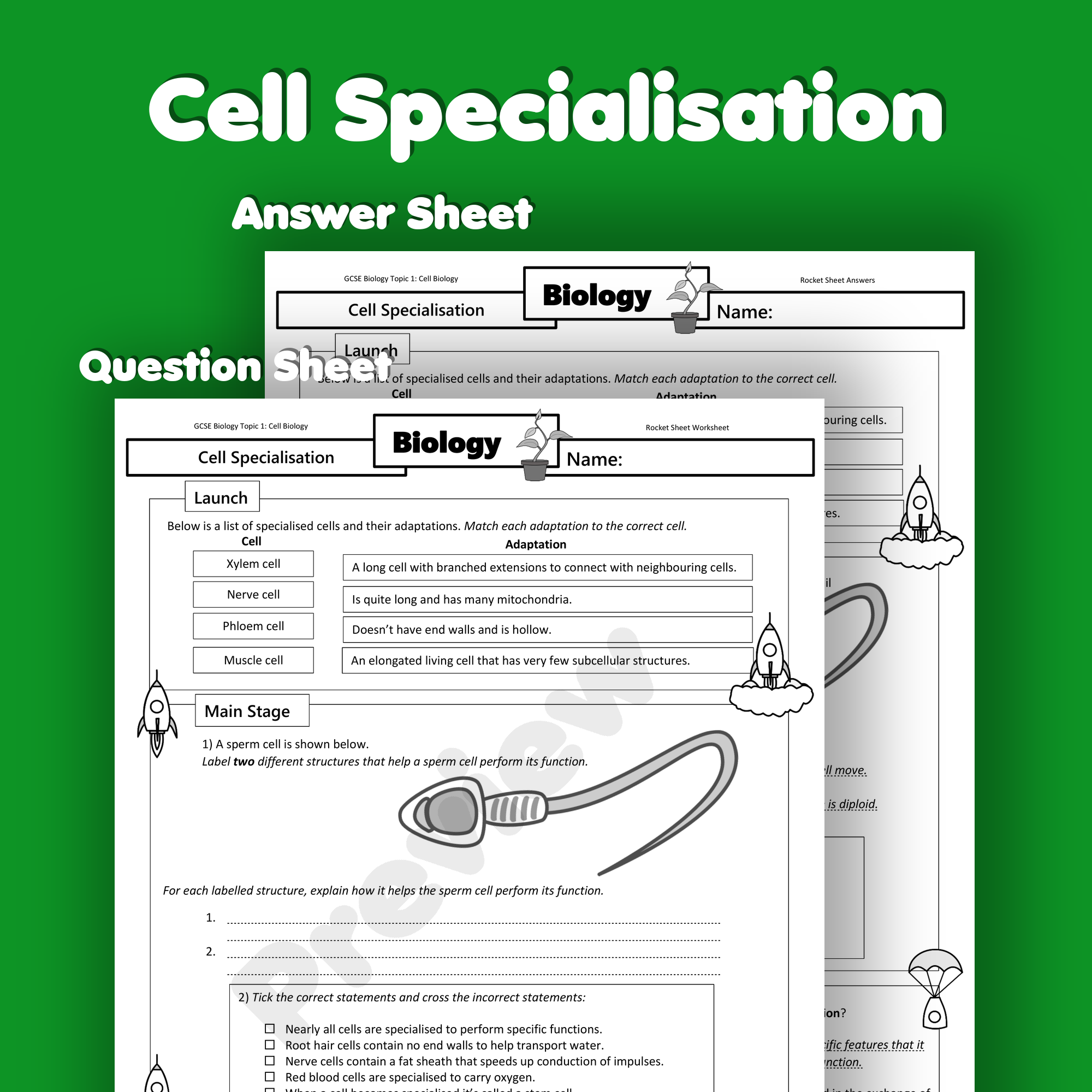 Cell Specialisation Home Learning Worksheet GCSE