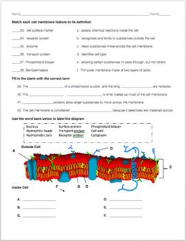 Cell Structure and Function Worksheet for 9th - Higher Ed | Lesson ...