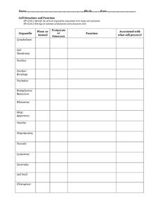 Cell Structure and Function Worksheet for 7th - 8th Grade | Lesson ...