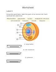 Cell Structure Brainpop Worksheet .docx - Worksheet Label It Using ...