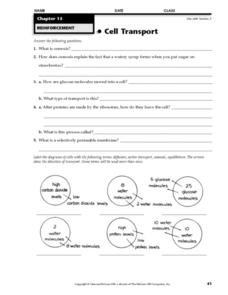 Cell Transport Worksheet for 9th Grade | Lesson Planet