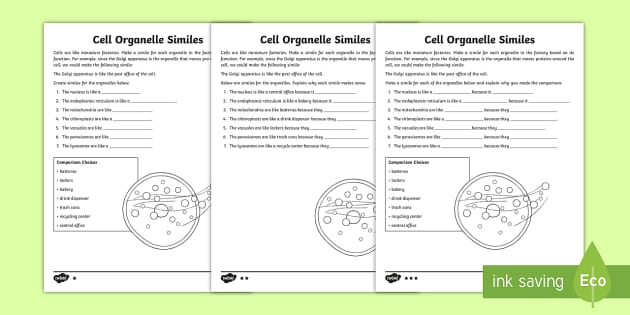 Cell Organelle Worksheets with Answers | Science Resources