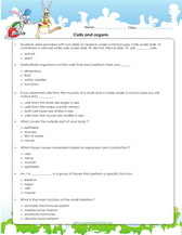 cell worksheet for 5th grade